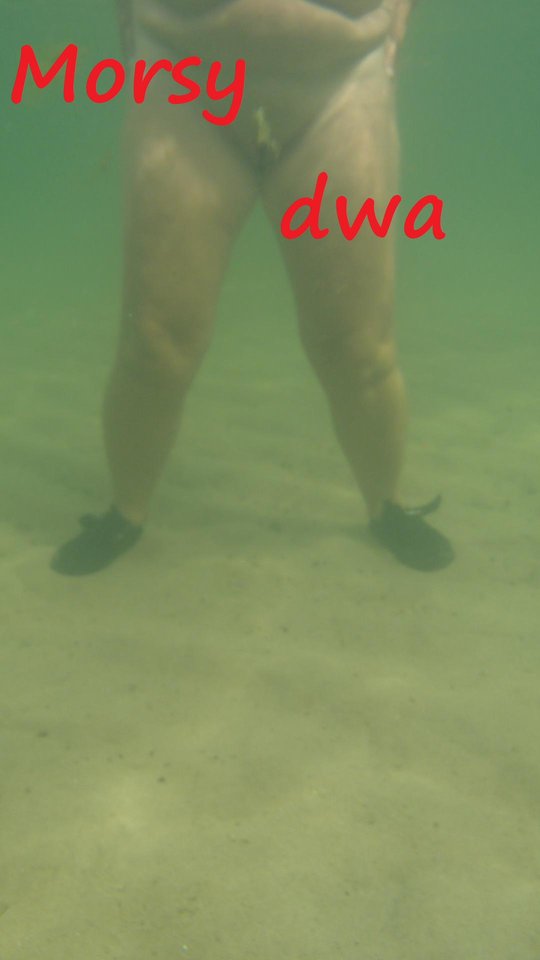 Pod wodą. - Morsy_dwa