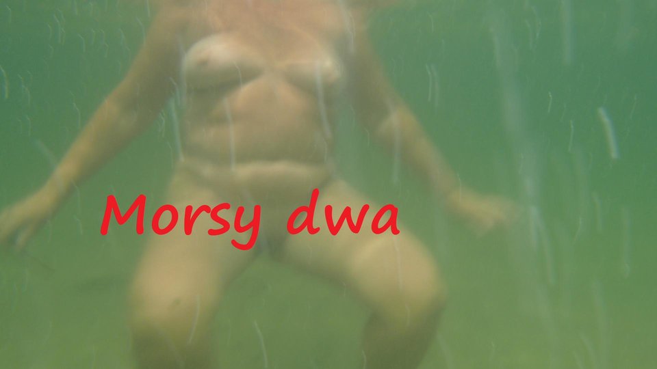 Pod wodą. - Morsy_dwa