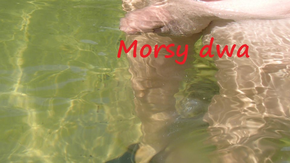 Maluszek się pławi. - Morsy_dwa
