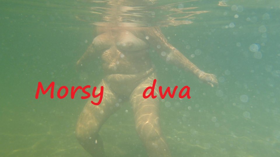 Pod wodą. - Morsy_dwa