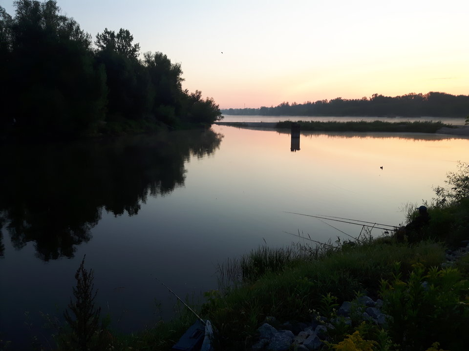 20180816_052542.jpg - WE7172