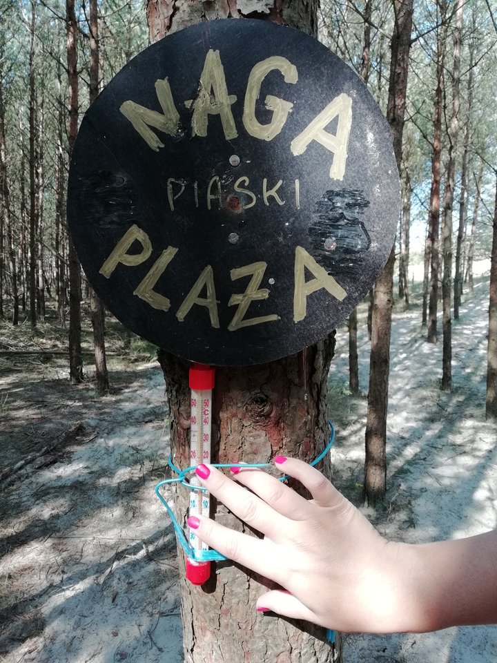 IMG_20180816_103831.jpg - parabezz