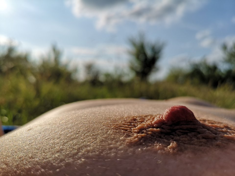 IMG_20180816_173929.jpg - wariaty20162017