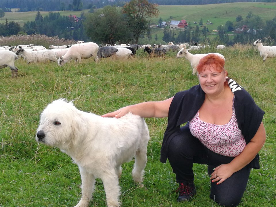 IMG_20180811_191014.jpg - faroamon6971