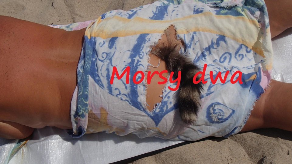 Na plaży 08 2018. - Morsy_dwa