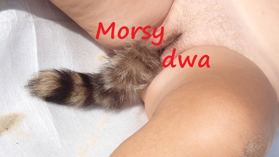 Na plaży 08 2018. - Morsy_dwa