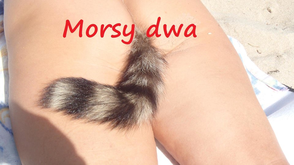 Na plaży 08 2018. - Morsy_dwa