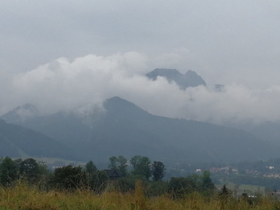 IMG_20180815_121213.jpg - faroamon6971