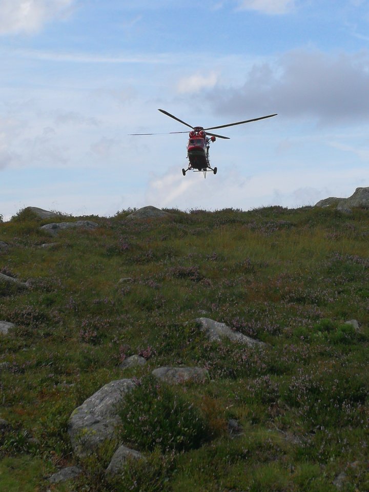 IMG_20180812_151748.jpg - faroamon6971