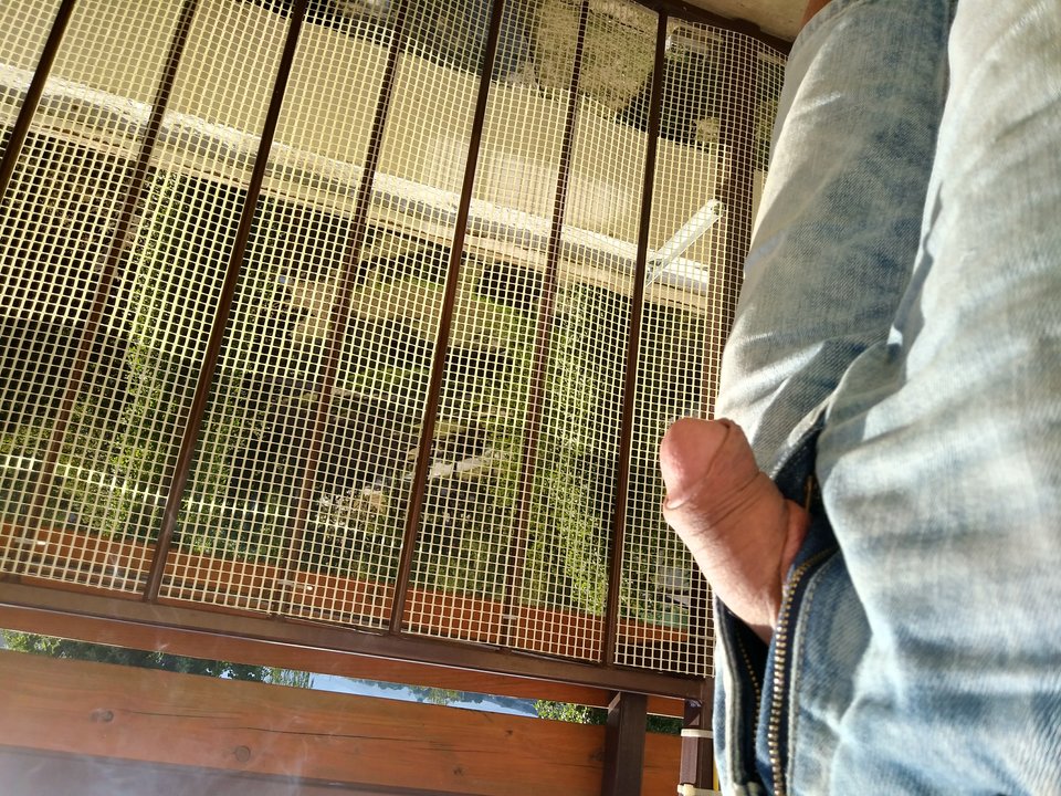 20180817_165206_HDR~2.jpg - on27nrw