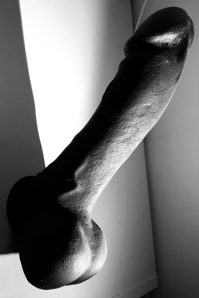 EB8AE869-84C6-4718-98A6-4845B13D30BE.jpeg - Kaytee