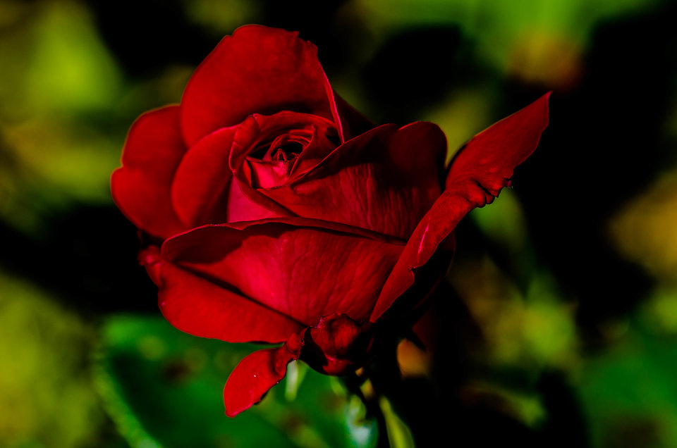 Szkarłatna - mystic