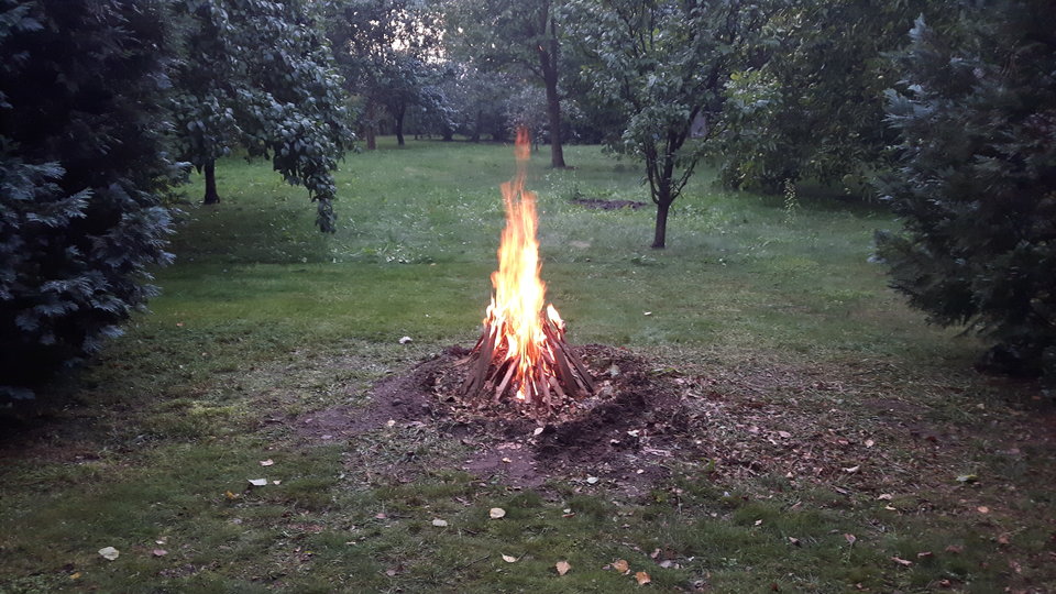 2018-08-18 19.43.00.jpg - Ja175