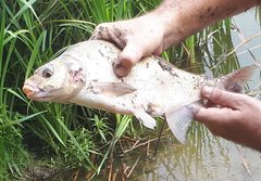Tak dla odmiany,żeby nie było że same perwersje