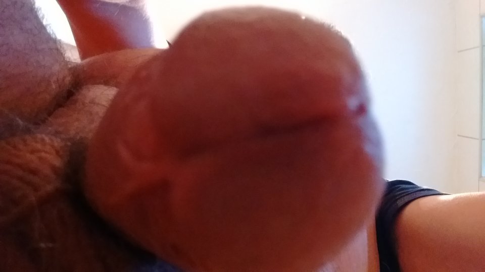 IMG_20180819_061019975.jpg - matij053