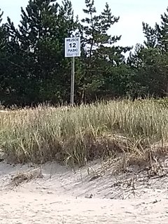 IMG_20180819_133051878.jpg