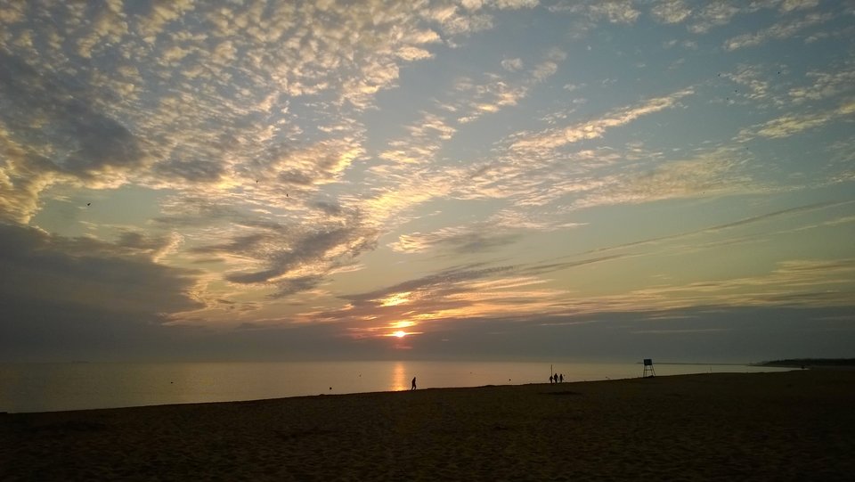 WP_20180820_003[1].jpg - Ratl