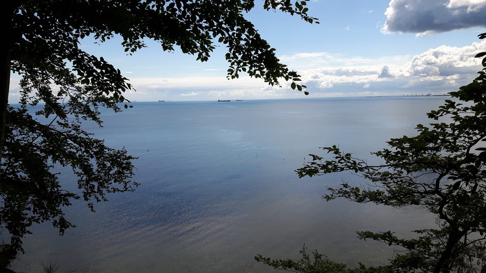 20180623_105650.jpg - Eniu100