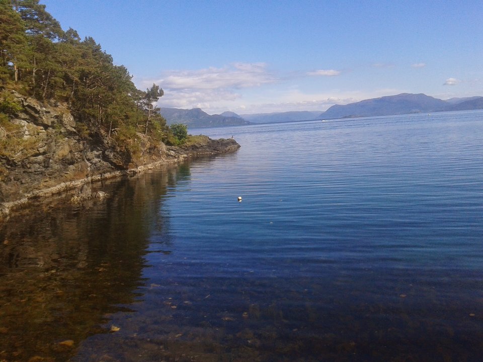 2014-05-24 16.34.18.jpg - anielski61