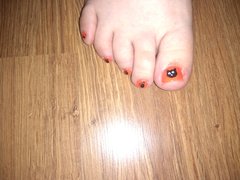 Chyba widziałem koteczka?!