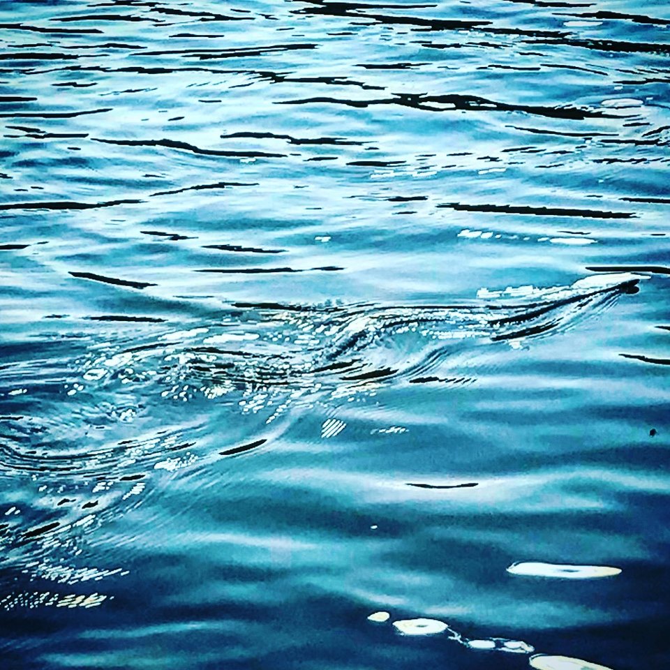 52D3934D-3A0F-40C8-BB91-F851A50D681E.jpeg - Mekagojiranogyakushu