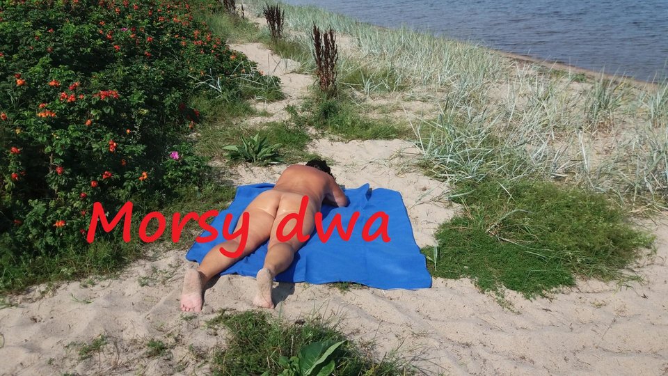 Rewa. - Morsy_dwa