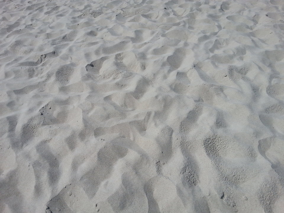 20180731_132146.jpg - BORSUK100