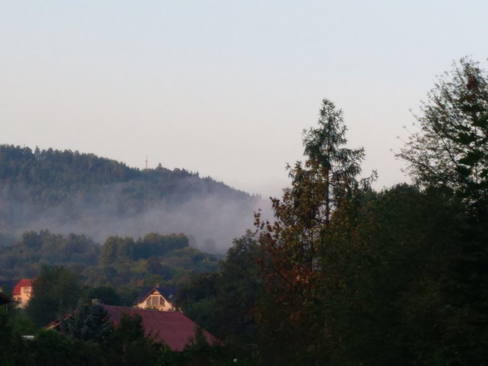 IMG_20180822_061115.jpg - kubiszon