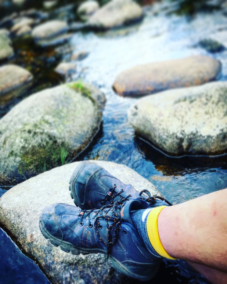 86FCB30F-5598-495C-8948-D0427E99CDC9.jpeg - Mekagojiranogyakushu