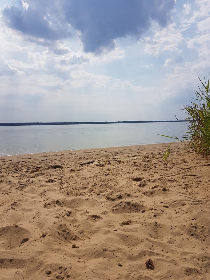 15350255759481176001467332916650.jpg - ewpr