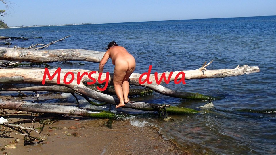 Zbiornik - Morsy_dwa