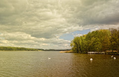 _DSC0729z.jpg