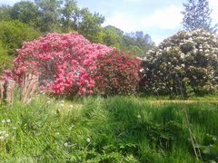 2014-05-25 12.13.57.jpg