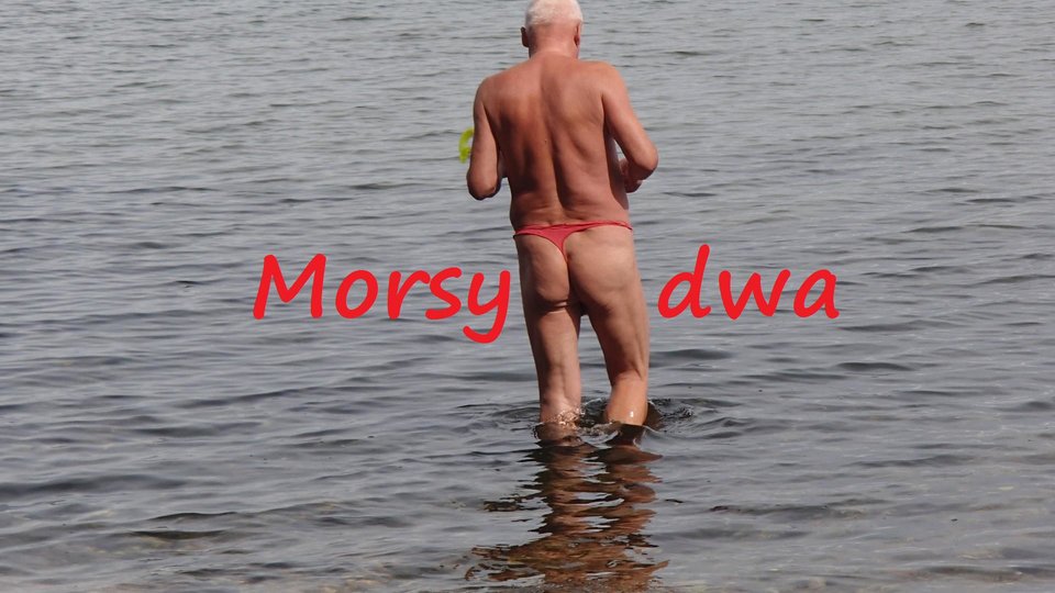 Zbiornik - Morsy_dwa