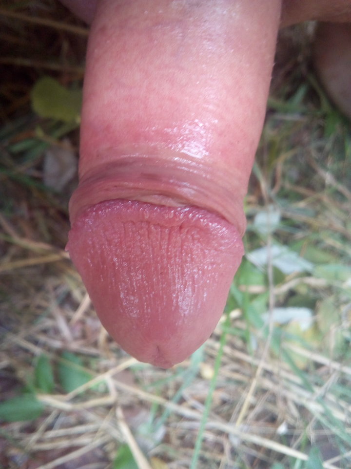 IMG_20180826_162518.jpg - szczecinbipas