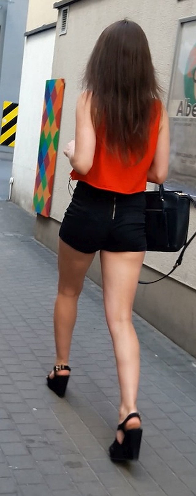 n4p4lony