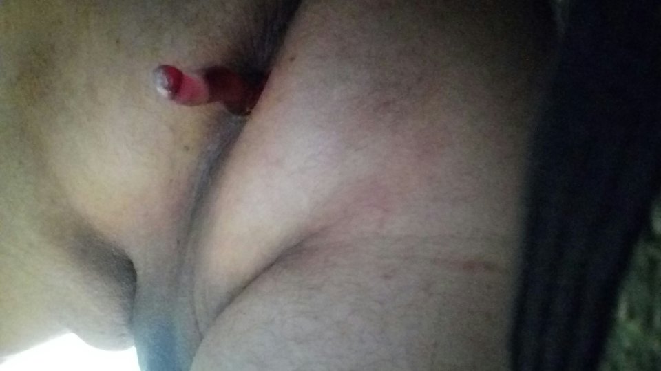 20180829_114529.jpg - misiekkk75