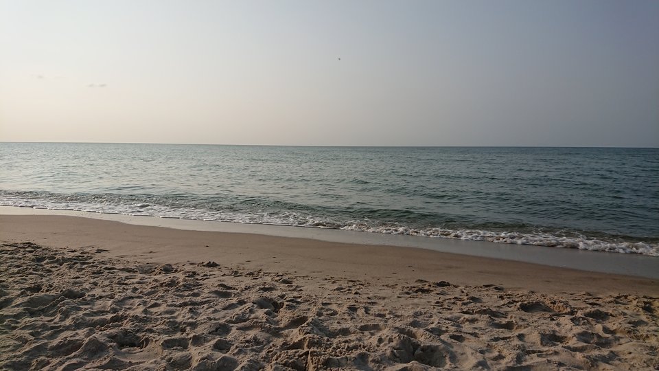 1535557204187531362150619006562.jpg - jim7