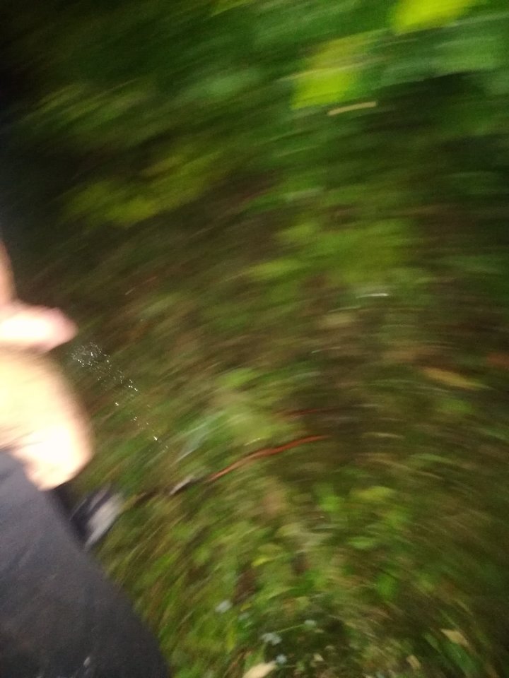 IMG_20180824_231734.jpg - mikaislaw