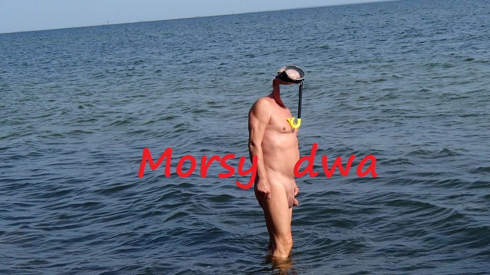 Nad morzem - Morsy_dwa