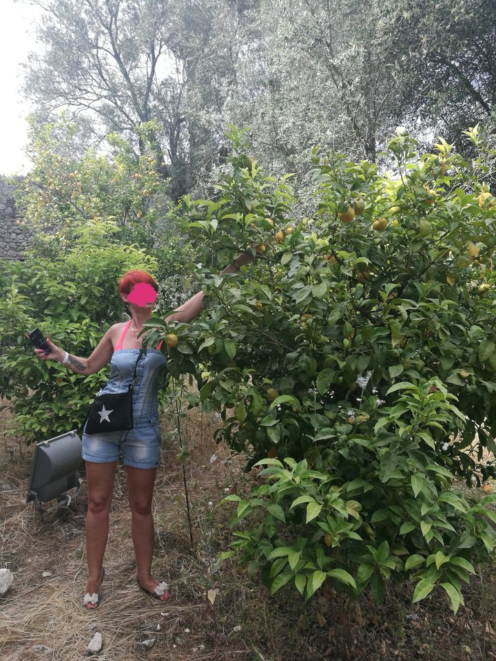 IMG_20180831_204224.jpg - Swingersii