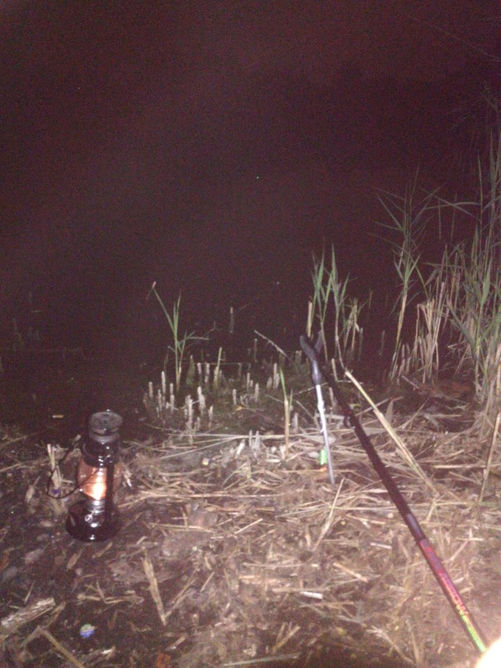 1535748609613385525208.jpg - Losmentos