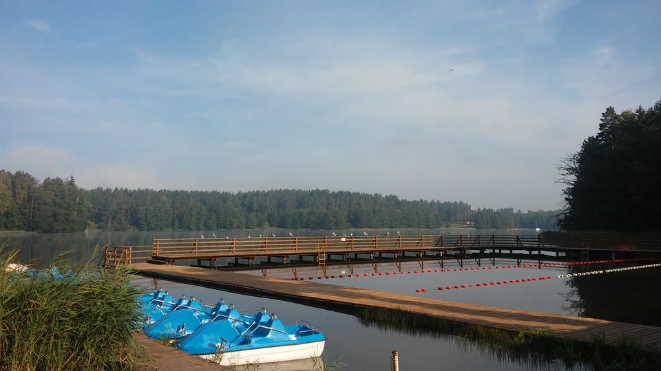20180901_082417.jpg - konkretny1975iONA