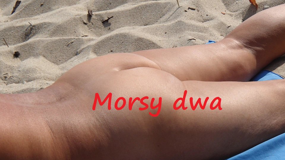 BD - Morsy_dwa
