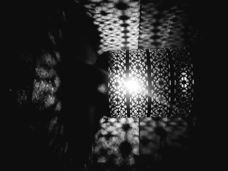 20180901_202755.jpg - dino8