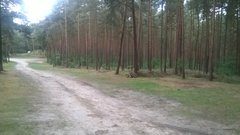 Go-lasek o poranku - koniec sezonu