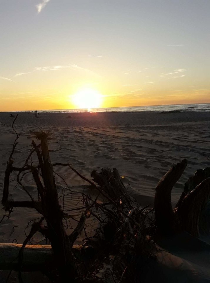 received_284622025478539.jpeg - BoscyMy