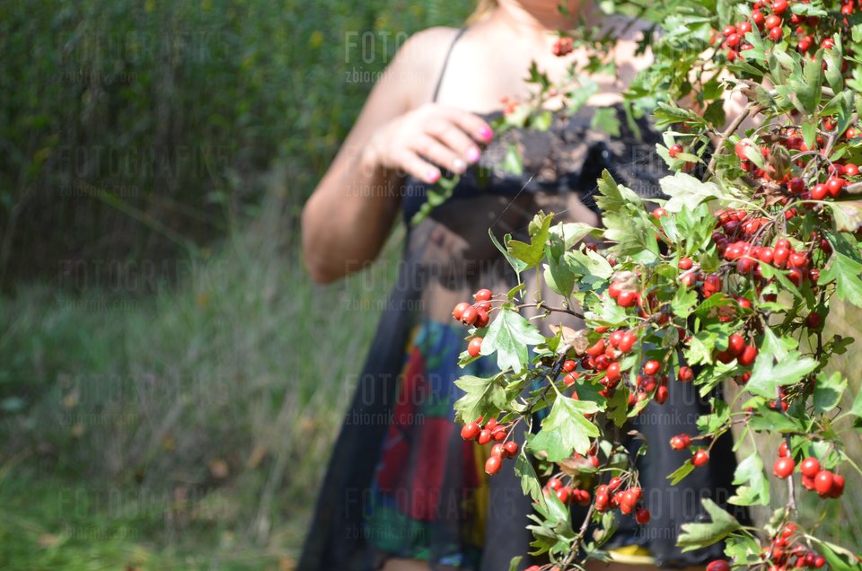 DSC_0418.JPG - fotografik5