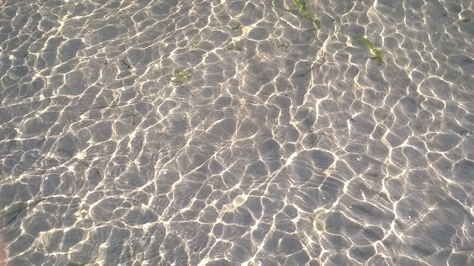 WP_20180818_18_16_42_Pro.jpg - kvadra