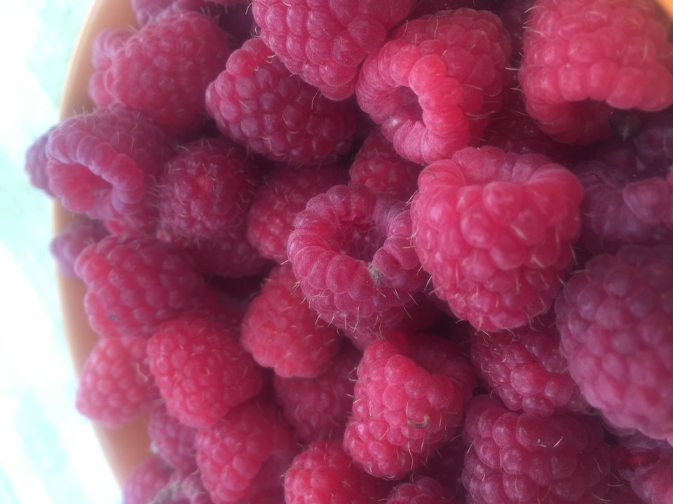 IMG_0332.JPG - ParaSJ7782